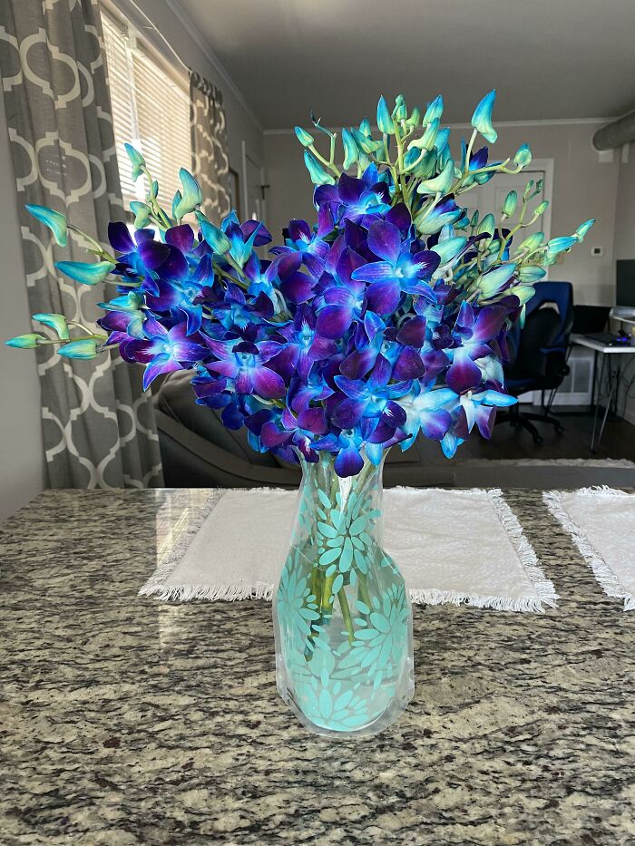 These Flowers That Are Almost Too Vibrant To Be Real