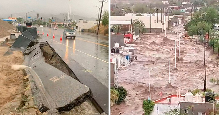 Earthquake And Storm Hit California, People Are Forced To Climb Trees To Escape Floodwaters And Mudslides