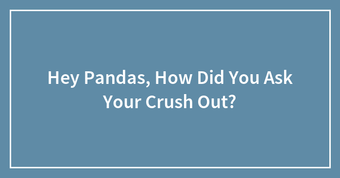 Hey Pandas, How Did You Ask Your Crush Out?